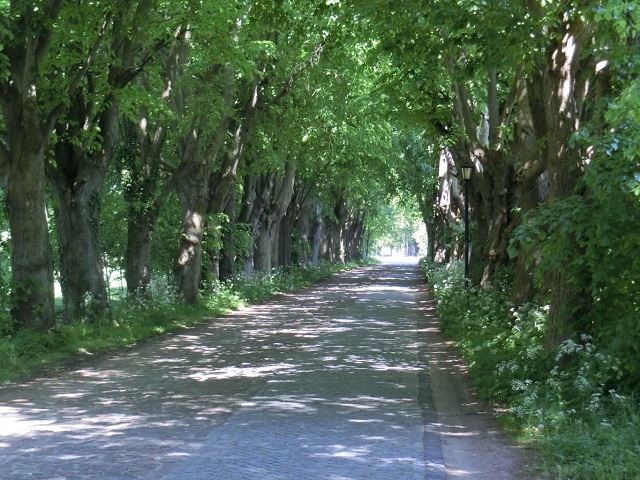 Weg zum Hafen/ Achterwasser 