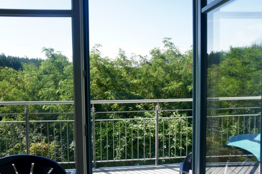 Blick vom Wohnzimmer ins Grüne