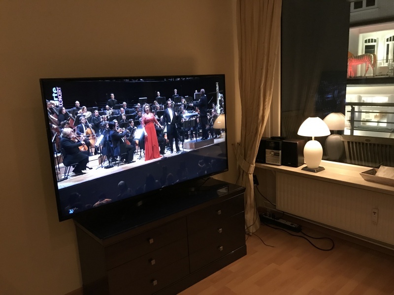 Fernseher
